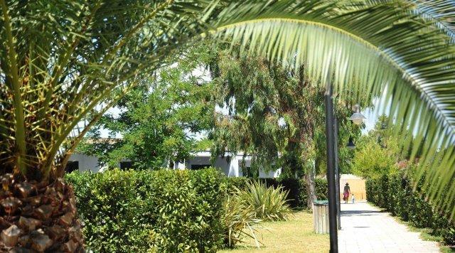 Resort La Brunese Torre dell'Orso Exterior photo